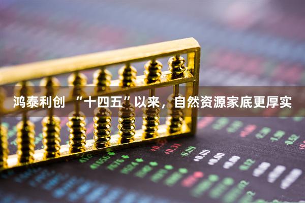 鸿泰利创  “十四五”以来，自然资源家底更厚实