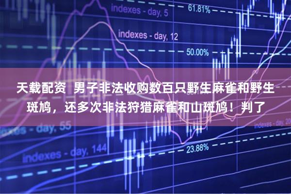 天载配资  男子非法收购数百只野生麻雀和野生斑鸠，还多次非法狩猎麻雀和山斑鸠！判了