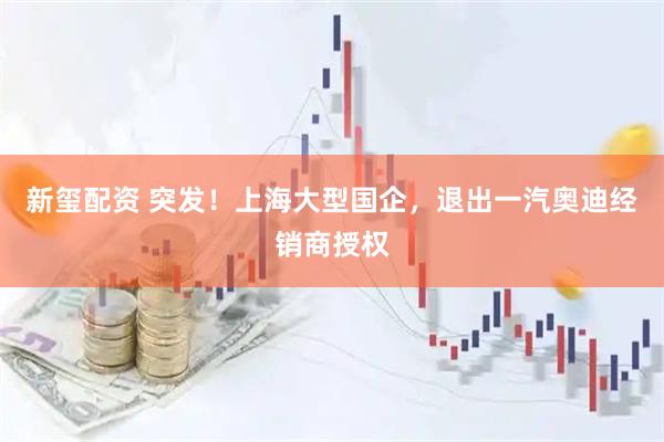 新玺配资 突发！上海大型国企，退出一汽奥迪经销商授权